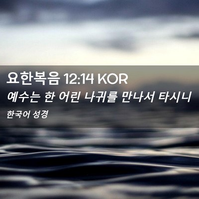 Picture 02 - 요한복음 12:14 KOR - 예수는 한 어린 나귀를 만나서 - Bible Verse Picture