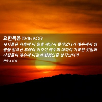 Picture 02 - 요한복음 12:16 KOR - 제자들은 처음에 이 일을 깨닫지 - Bible Verse Picture