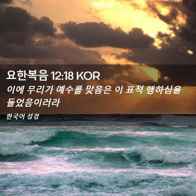 Picture 02 - 요한복음 12:18 KOR - 이에 무리가 예수를 맞음은 이 표적 - Bible Verse Picture