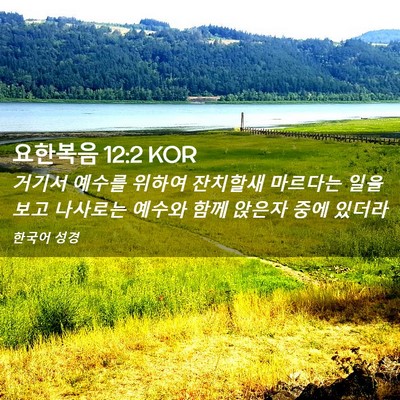 Picture 02 - 요한복음 12:2 KOR - 거기서 예수를 위하여 잔치할새 - Bible Verse Picture