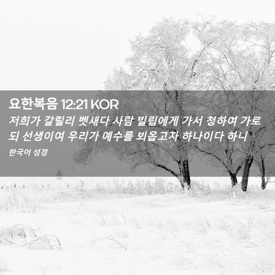 Picture 02 - 요한복음 12:21 KOR - 저희가 갈릴리 벳새다 사람 빌립에게 - Bible Verse Picture
