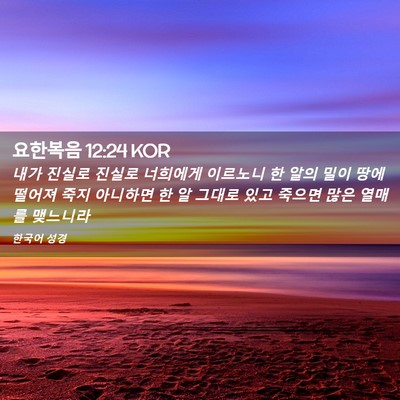 Picture 02 - 요한복음 12:24 KOR - 내가 진실로 진실로 너희에게 - Bible Verse Picture