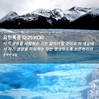 Picture 02 - 요한복음 12:25 KOR - 자기 생명을 사랑하는 자는 잃어버릴 - Bible Verse Picture