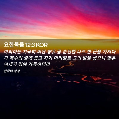 Picture 02 - 요한복음 12:3 KOR - 마리아는 지극히 비싼 향유 곧 - Bible Verse Picture