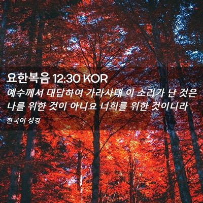 Picture 02 - 요한복음 12:30 KOR - 예수께서 대답하여 가라사대 이 - Bible Verse Picture