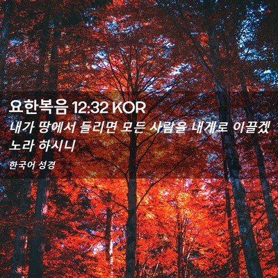 Picture 02 - 요한복음 12:32 KOR - 내가 땅에서 들리면 모든 사람을 - Bible Verse Picture