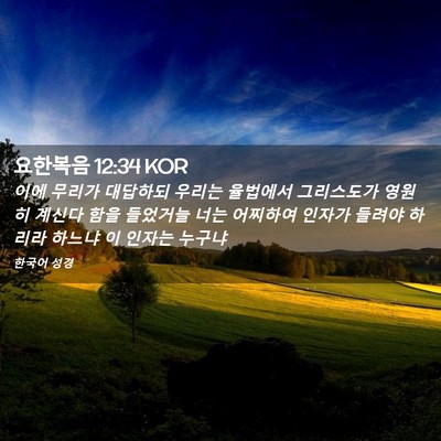Picture 02 - 요한복음 12:34 KOR - 이에 무리가 대답하되 우리는 - Bible Verse Picture