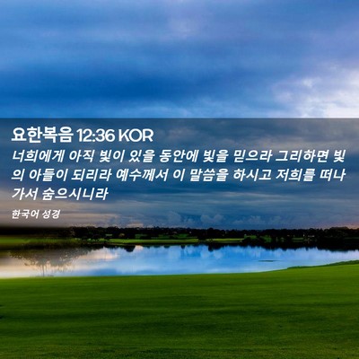 Picture 02 - 요한복음 12:36 KOR - 너희에게 아직 빛이 있을 동안에 - Bible Verse Picture