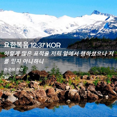 Picture 02 - 요한복음 12:37 KOR - 이렇게 많은 표적을 저희 앞에서 - Bible Verse Picture