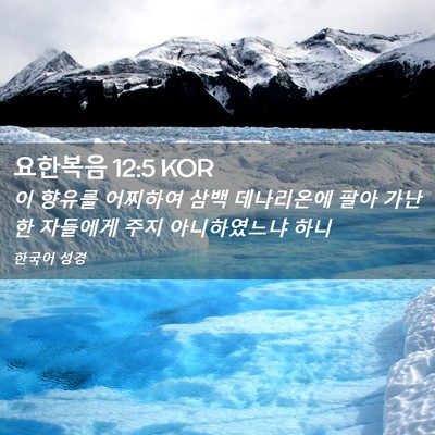 Picture 02 - 요한복음 12:5 KOR - 이 향유를 어찌하여 삼백 데나리온에 - Bible Verse Picture