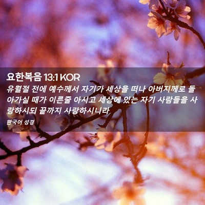 Picture 02 - 요한복음 13:1 KOR - 유월절 전에 예수께서 자기가 세상을 - Bible Verse Picture