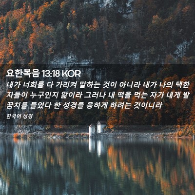 Picture 02 - 요한복음 13:18 KOR - 내가 너희를 다 가리켜 말하는 것이 - Bible Verse Picture