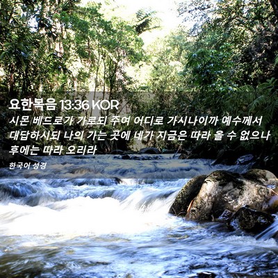Picture 02 - 요한복음 13:36 KOR - 시몬 베드로가 가로되 주여 어디로 - Bible Verse Picture