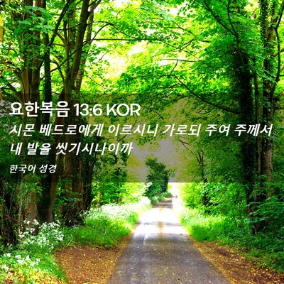 Picture 02 - 요한복음 13:6 KOR - 시몬 베드로에게 이르시니 가로되 - Bible Verse Picture