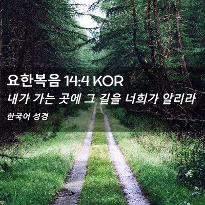 Picture 02 - 요한복음 14:4 KOR - 내가 가는 곳에 그 길을 너희가 - Bible Verse Picture