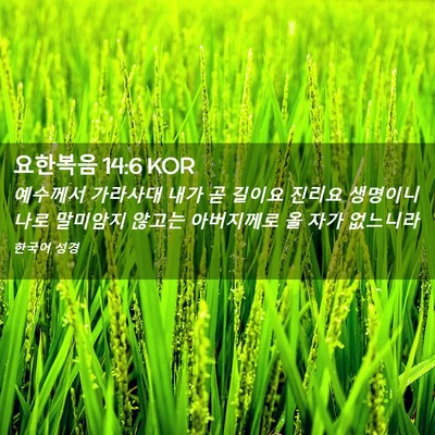 Picture 02 - 요한복음 14:6 KOR - 예수께서 가라사대 내가 곧 길이요 - Bible Verse Picture