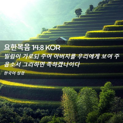 Picture 02 - 요한복음 14:8 KOR - 빌립이 가로되 주여 아버지를 - Bible Verse Picture