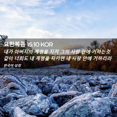 Picture 02 - 요한복음 15:10 KOR - 내가 아버지의 계명을 지켜 그의 - Bible Verse Picture