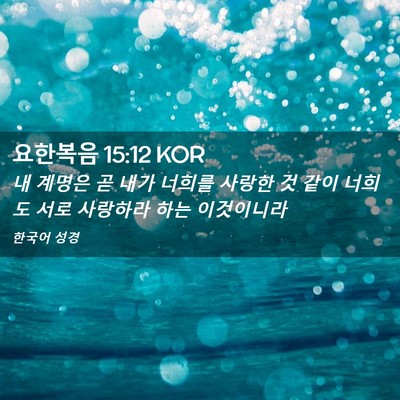 Picture 02 - 요한복음 15:12 KOR - 내 계명은 곧 내가 너희를 사랑한 것 - Bible Verse Picture