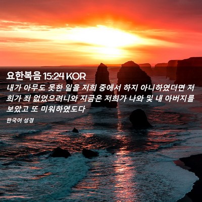 Picture 02 - 요한복음 15:24 KOR - 내가 아무도 못한 일을 저희 중에서 - Bible Verse Picture
