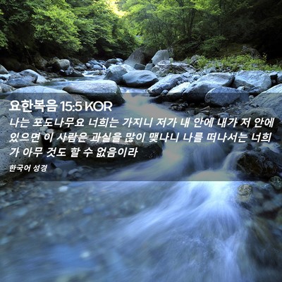 Picture 02 - 요한복음 15:5 KOR - 나는 포도나무요 너희는 가지니 저가 - Bible Verse Picture