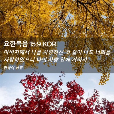 Picture 02 - 요한복음 15:9 KOR - 아버지께서 나를 사랑하신 것 같이 - Bible Verse Picture