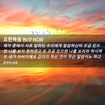 Picture 02 - 요한복음 16:17 KOR - 제자 중에서 서로 말하되 우리에게 - Bible Verse Picture