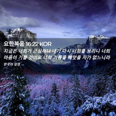 Picture 02 - 요한복음 16:22 KOR - 지금은 너희가 근심하나 내가 다시 - Bible Verse Picture