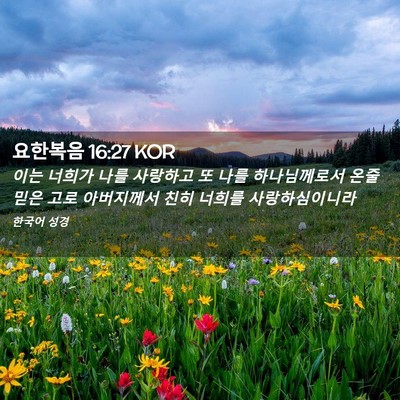 Picture 02 - 요한복음 16:27 KOR - 이는 너희가 나를 사랑하고 또 나를 - Bible Verse Picture