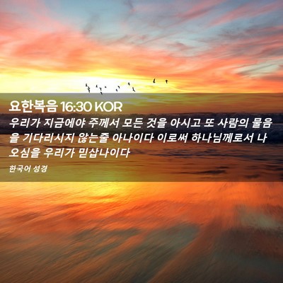 Picture 02 - 요한복음 16:30 KOR - 우리가 지금에야 주께서 모든 것을 - Bible Verse Picture
