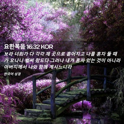 Picture 02 - 요한복음 16:32 KOR - 보라 너희가 다 각각 제 곳으로 - Bible Verse Picture