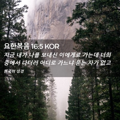 Picture 02 - 요한복음 16:5 KOR - 지금 내가 나를 보내신 이에게로 - Bible Verse Picture