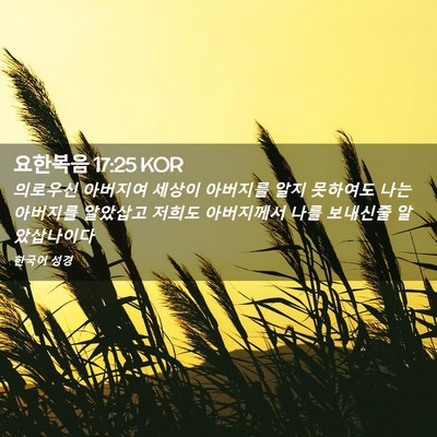 Picture 02 - 요한복음 17:25 KOR - 의로우신 아버지여 세상이 아버지를 - Bible Verse Picture