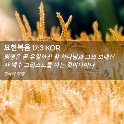 Picture 02 - 요한복음 17:3 KOR - 영생은 곧 유일하신 참 하나님과 - Bible Verse Picture