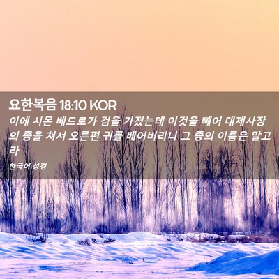Picture 02 - 요한복음 18:10 KOR - 이에 시몬 베드로가 검을 가졌는데 - Bible Verse Picture