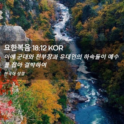 Picture 02 - 요한복음 18:12 KOR - 이에 군대와 천부장과 유대인의 - Bible Verse Picture