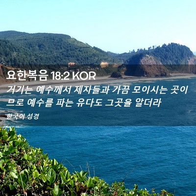 Picture 02 - 요한복음 18:2 KOR - 거기는 예수께서 제자들과 가끔 - Bible Verse Picture