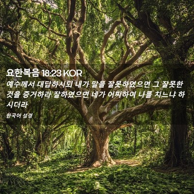 Picture 02 - 요한복음 18:23 KOR - 예수께서 대답하시되 내가 말을 - Bible Verse Picture