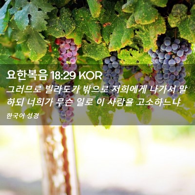 Picture 02 - 요한복음 18:29 KOR - 그러므로 빌라도가 밖으로 저희에게 - Bible Verse Picture