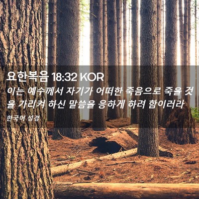 Picture 02 - 요한복음 18:32 KOR - 이는 예수께서 자기가 어떠한 - Bible Verse Picture