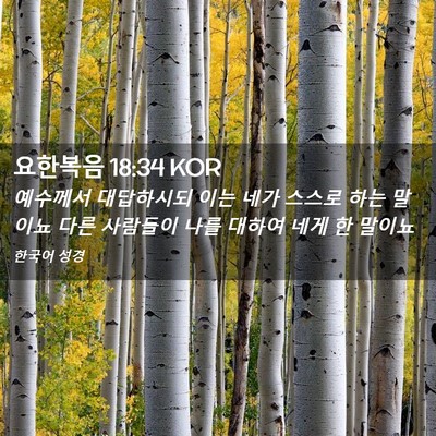 Picture 02 - 요한복음 18:34 KOR - 예수께서 대답하시되 이는 네가 - Bible Verse Picture