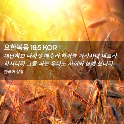 Picture 02 - 요한복음 18:5 KOR - 대답하되 나사렛 예수라 하거늘 - Bible Verse Picture