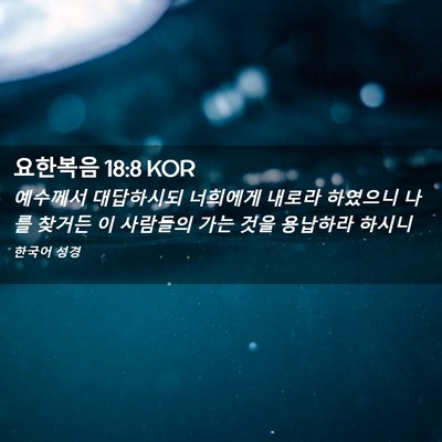 Picture 02 - 요한복음 18:8 KOR - 예수께서 대답하시되 너희에게 - Bible Verse Picture