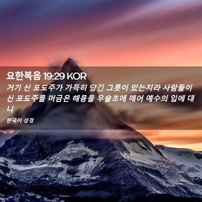 Picture 02 - 요한복음 19:29 KOR - 거기 신 포도주가 가득히 담긴 - Bible Verse Picture