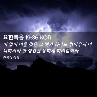 Picture 02 - 요한복음 19:36 KOR - 이 일이 이룬 것은 그 뼈가 하나도 - Bible Verse Picture