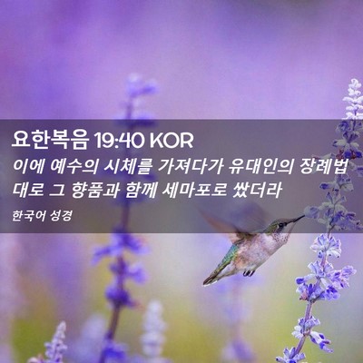 Picture 02 - 요한복음 19:40 KOR - 이에 예수의 시체를 가져다가 - Bible Verse Picture