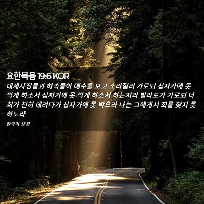 Picture 02 - 요한복음 19:6 KOR - 대제사장들과 하속들이 예수를 보고 - Bible Verse Picture
