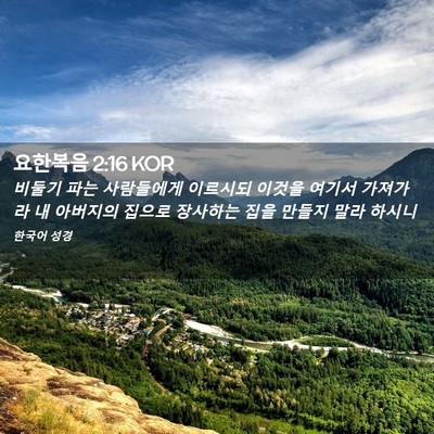 Picture 02 - 요한복음 2:16 KOR - 비둘기 파는 사람들에게 이르시되 - Bible Verse Picture