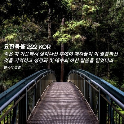 Picture 02 - 요한복음 2:22 KOR - 죽은 자 가운데서 살아나신 후에야 - Bible Verse Picture