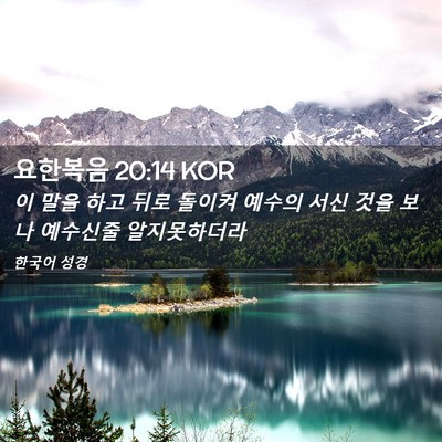 Picture 02 - 요한복음 20:14 KOR - 이 말을 하고 뒤로 돌이켜 예수의 - Bible Verse Picture